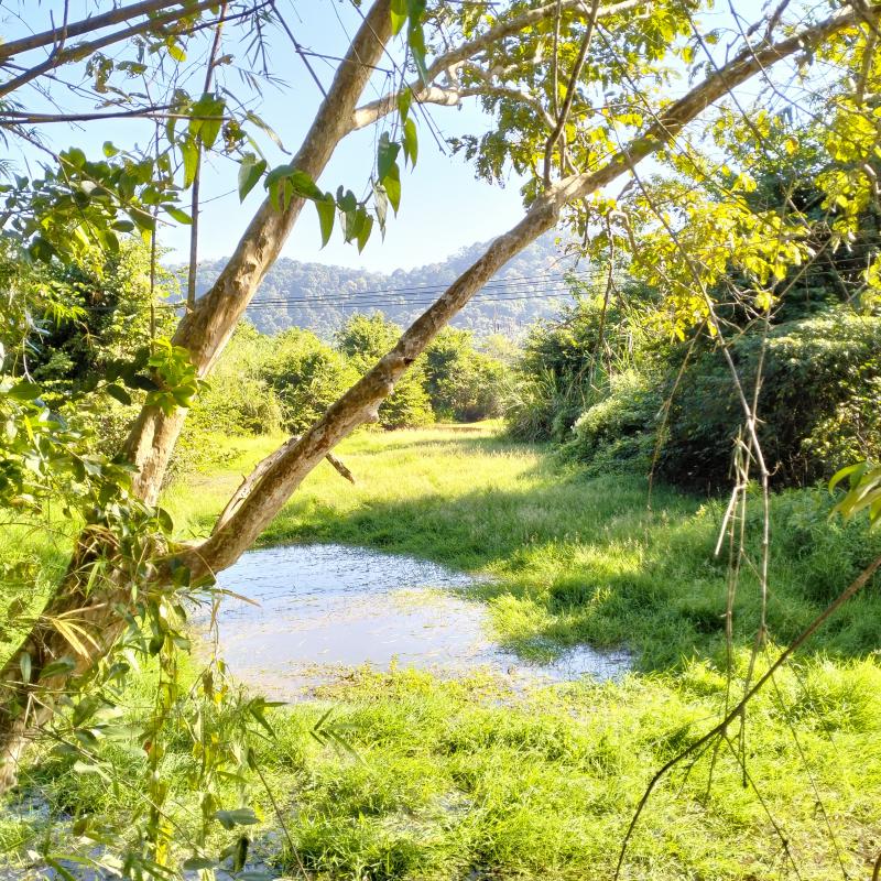 ไร่สวน 28000000 จันทบุรี นายายอาม